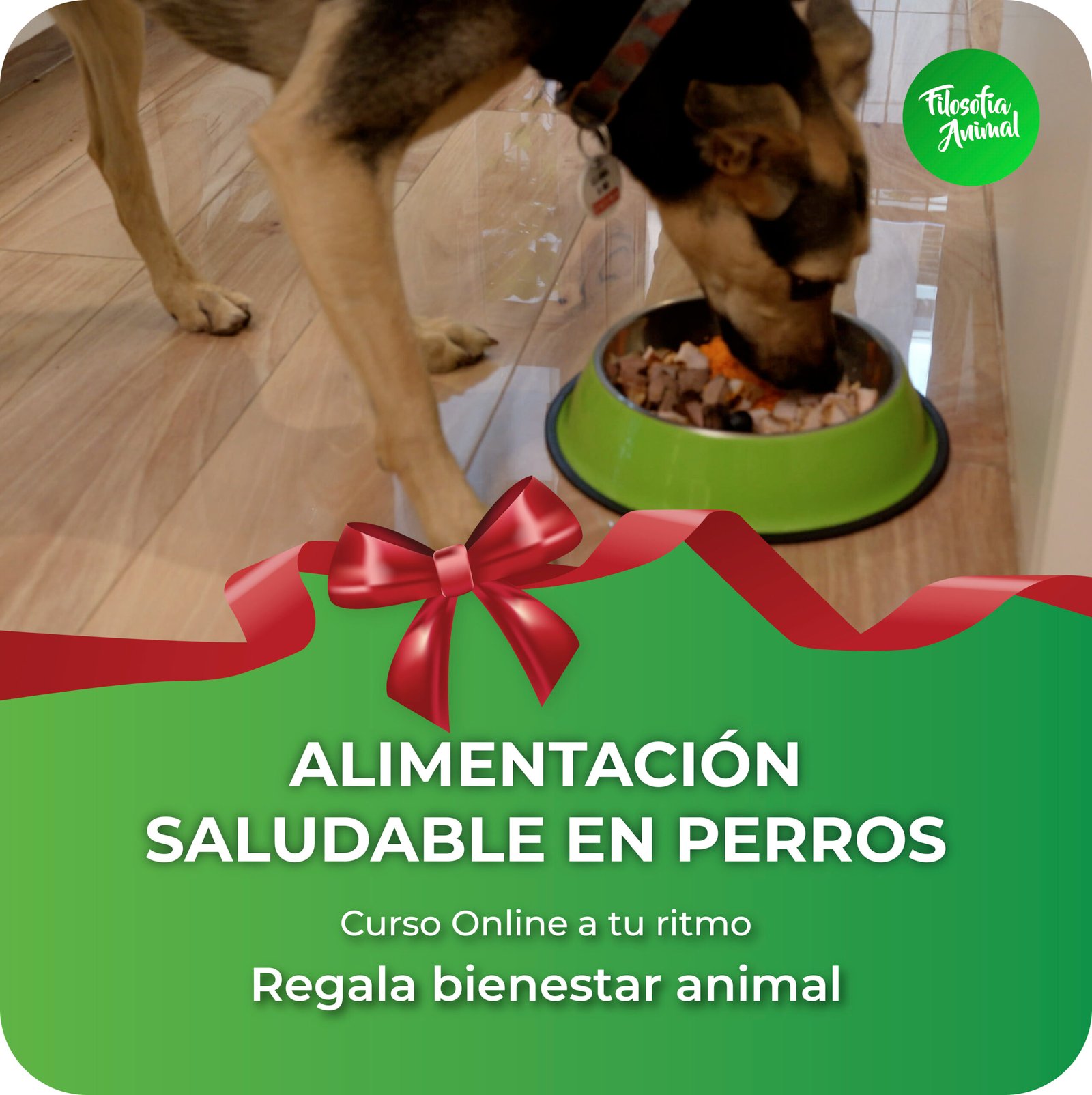 post navidad 14