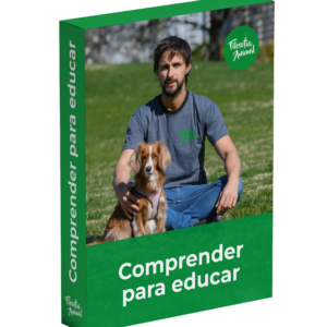 Caja 2
