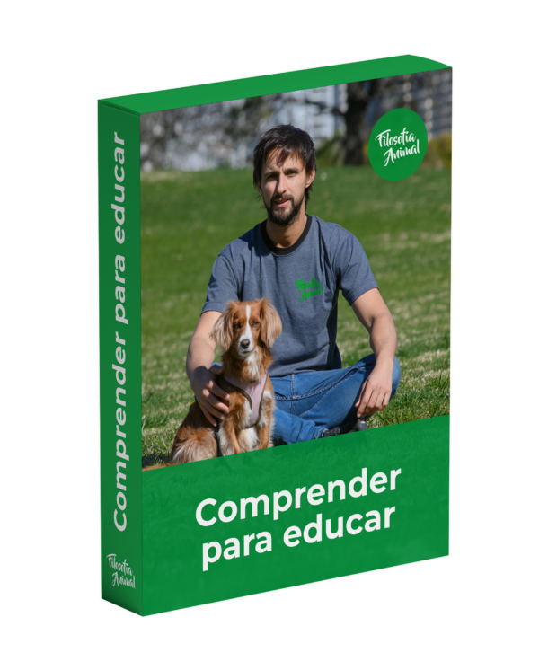 Caja 2
