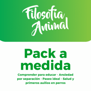 FA pack a medida (1)